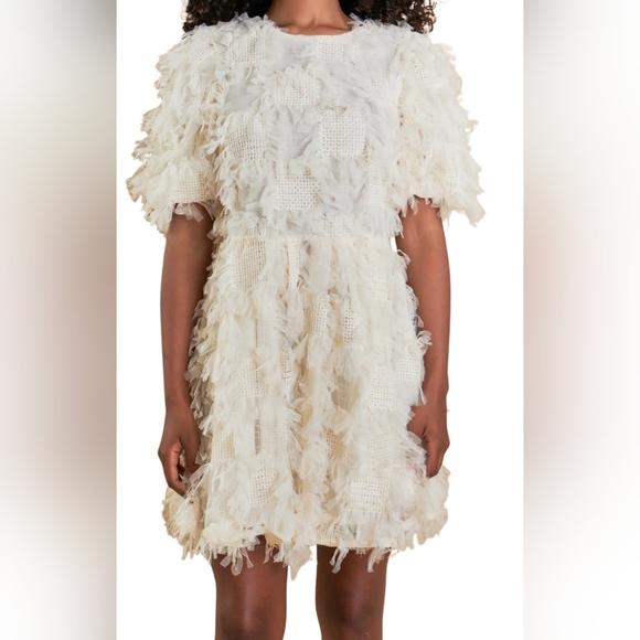 Endless Rose Cream Abstract Textured Mesh Puff Sleeve Mini Dress,Medium - Picture 13 of 16